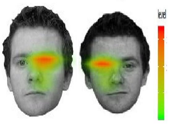 Forensic Face Identification