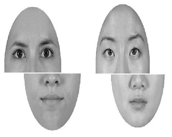 Out-group biases in social cognition